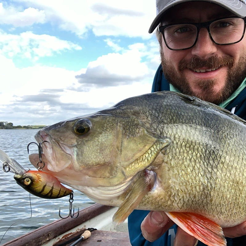 Westin Buzzbite Crankbaits 5cm/6g